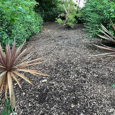 Richmond Hill Markington 度假居