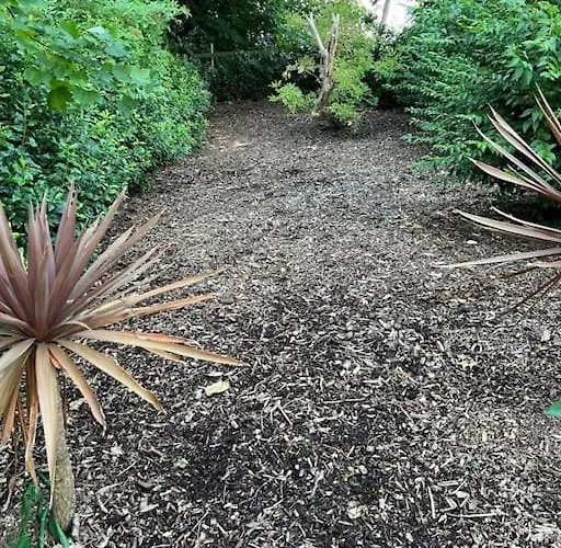 Richmond Hill Markington Hébergement de vacances